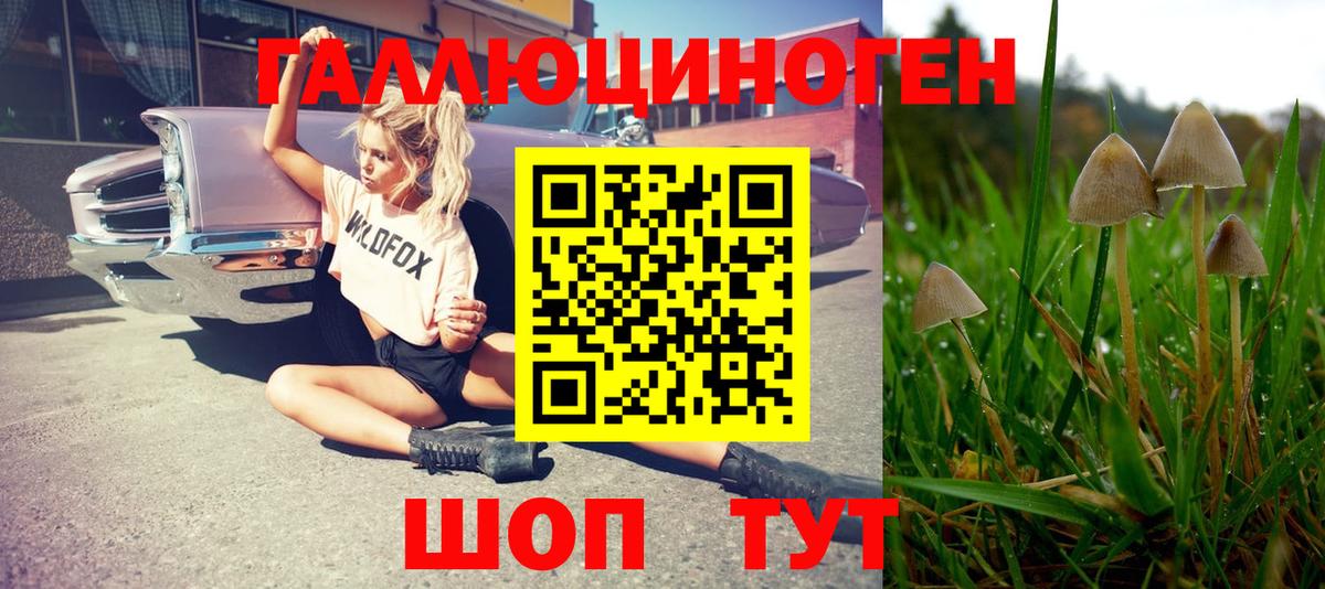 Псилоцибиновые грибы мицелий  Вход с VPN  Галлюциногенные грибы GOLDEN TEACHER  Владивосток 