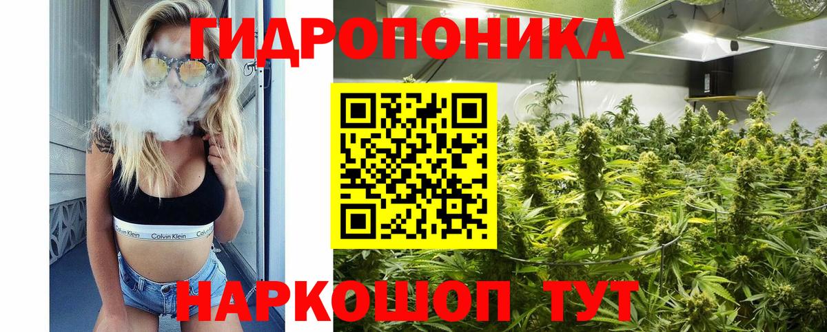Бошки марихуана планчик Владивосток